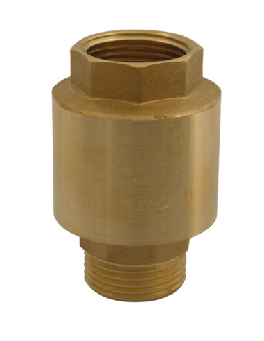 Art.153 Valvola di ritegno PN40 F.M.