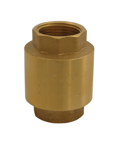 Art.150 Valvola di ritegno PN40 F.F.